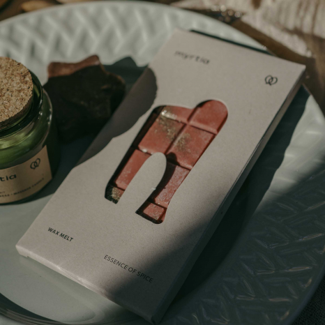 "Essence of Spice" Wax melt